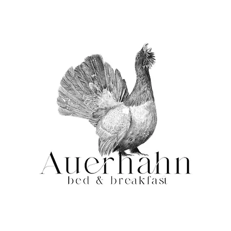 Waldhotel Auerhahn-3